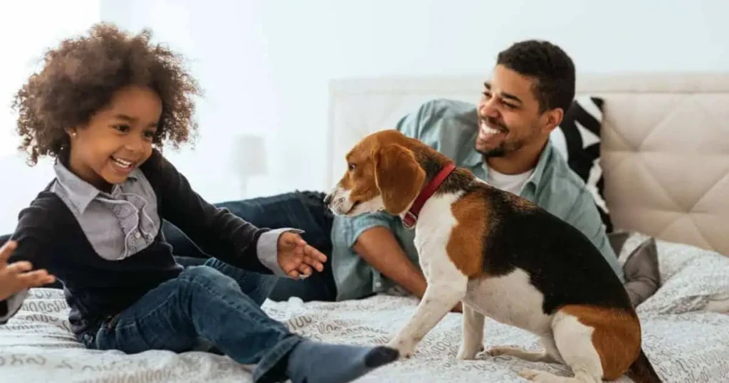 Una escena alegre de un niño y un adulto jugando con un perro Beagle sobre una cama. El niño se ríe y extiende la mano hacia el perro, mientras el adulto sonríe con calidez al fondo. La habitación es luminosa y acogedora.