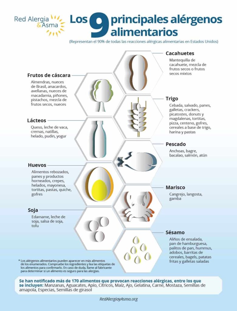 Infografía de los 9 principales alérgenos alimentarios: cacahuetes, frutos de cáscara, lácteos, huevo, soja, trigo, pescado, marisco y sésamo, con iconos, ejemplos y descripciones para cada alimento.