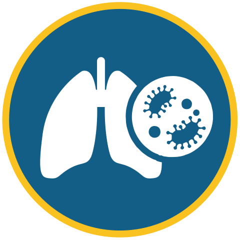 Icono que muestra unos pulmones blancos junto a una lupa con virus en su interior, sobre un fondo circular azul con un borde amarillo, representando una infección pulmonar o una enfermedad respiratoria.