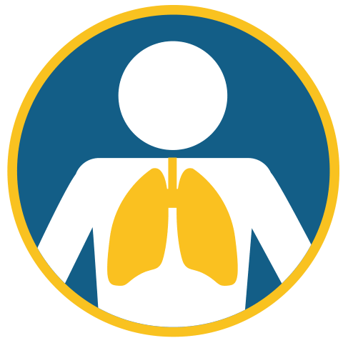 Icono de la parte superior del cuerpo de una persona en blanco, con los pulmones amarillos visibles en el pecho, sobre un fondo circular azul perfilado en amarillo.