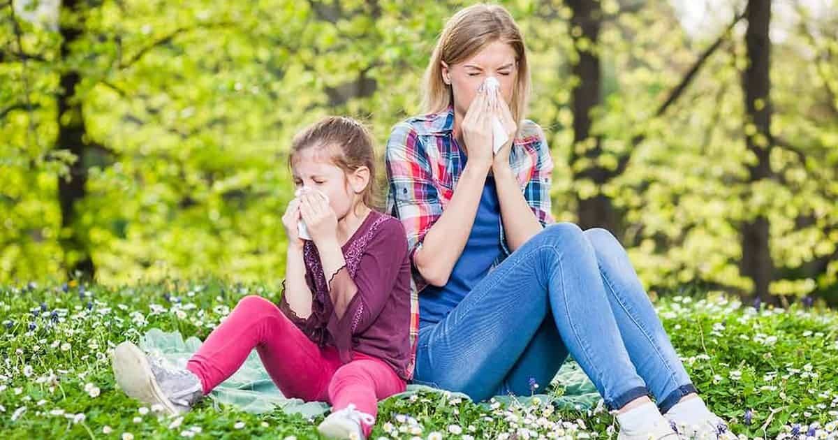 Una mujer y una niña están sentadas sobre una manta en un campo, rodeadas de árboles verdes y flores. Ambas se suenan la nariz, lo que sugiere que sufren alergias. La escena es luminosa y evoca un entorno primaveral o veraniego.