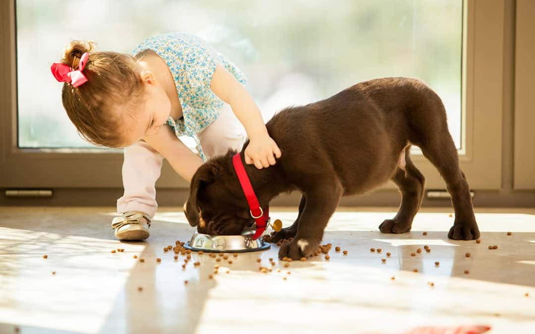 niña pequeña con su perro